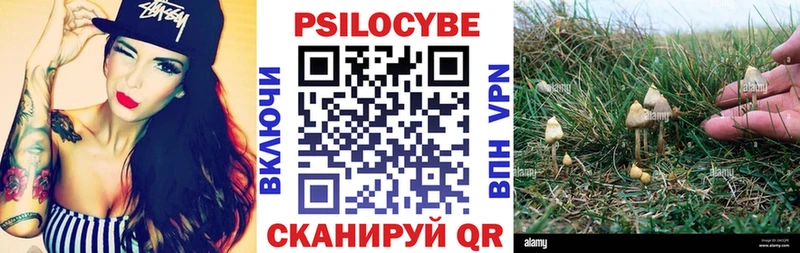 Купить  Ардон  Галлюциногенные грибы мухоморы 